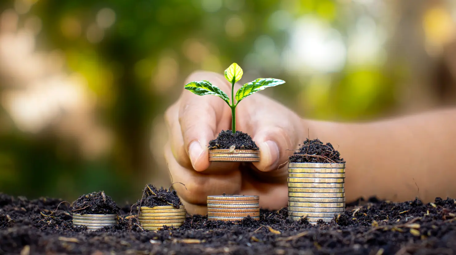 Este es el programa del Bienestar que brinda $6,450 cada mes. Foto: Canva