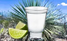 El sotol de Durango y 3 municipios en los que puedes comprarlo a productores locales