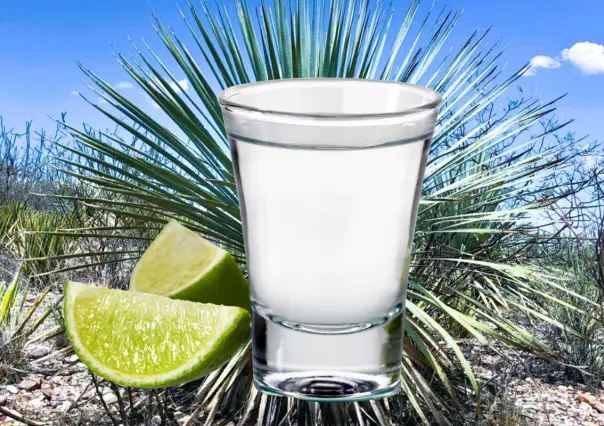 El sotol de Durango y 3 municipios en los que puedes comprarlo a productores locales