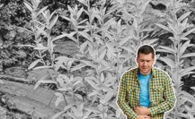 Está planta nativa de Nuevo León puede tratar los dolores de estómago
