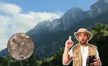 Este animal nativo de Nuevo León puede emitir sonidos de advertencia