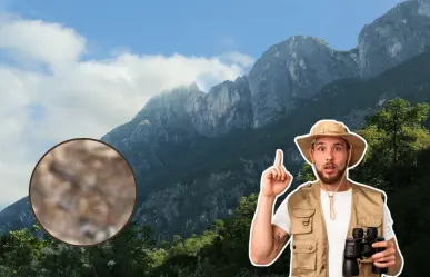 Este animal nativo de Nuevo León puede emitir sonidos de advertencia