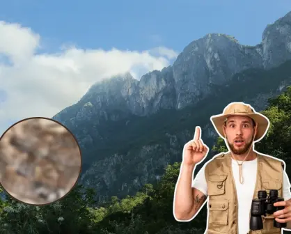 Este animal nativo de Nuevo León puede emitir sonidos de advertencia