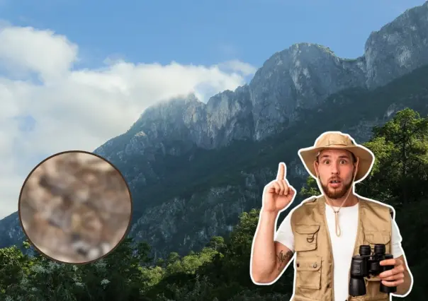 Este animal nativo de Nuevo León puede emitir sonidos de advertencia