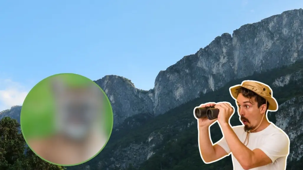Este es el animal nativo de Nuevo León que pocos ven, pero todos temen encontrar en la sierra