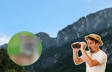 Este es el animal nativo de Nuevo León que pocos ven, pero todos temen encontrar en la sierra