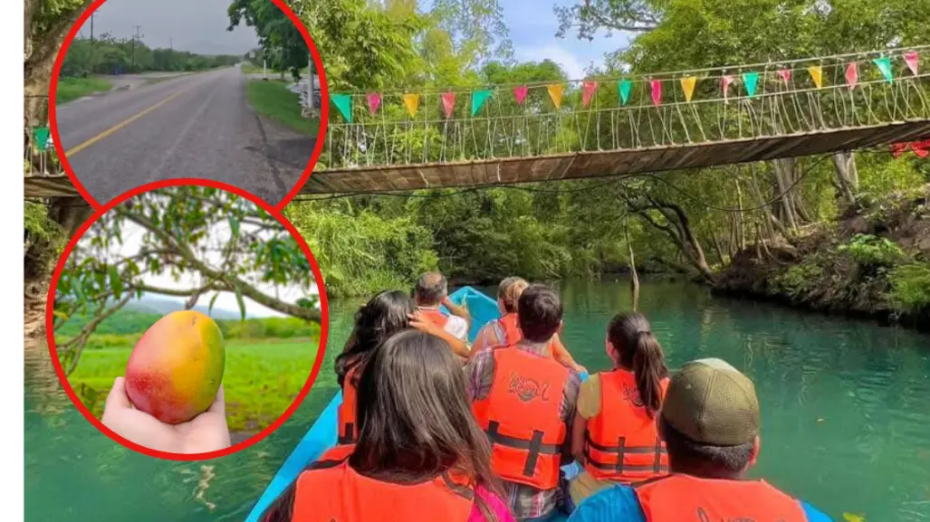 La carretera que te lleva a un río de Tamaulipas con los mejores mangos de México