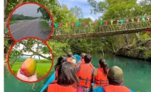 La carretera que te lleva a un río de Tamaulipas con los mejores mangos de México