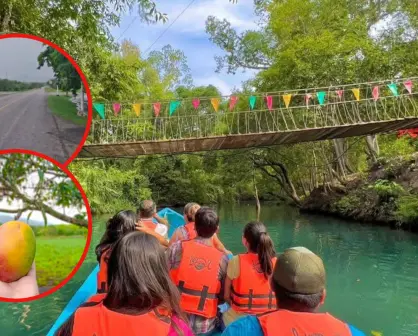 La carretera que te lleva a un río de Tamaulipas con los mejores mangos de México