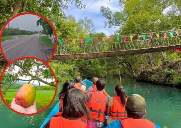 La carretera que te lleva a un río de Tamaulipas con los mejores mangos de México