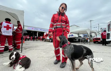 VIDEO | Entre juegos y disciplina: así se forman los perros rescatistas de la Cruz Roja Edomex