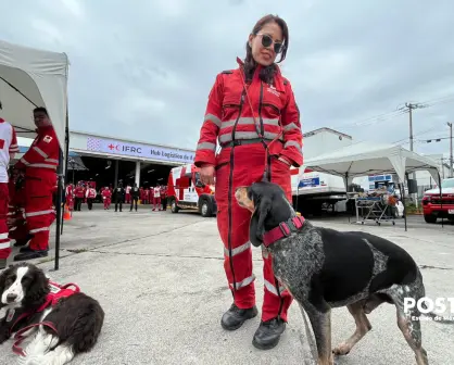 VIDEO | Entre juegos y disciplina: así se forman los perros rescatistas de la Cruz Roja Edomex