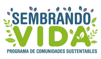 Foto: Programas para el Bienestar