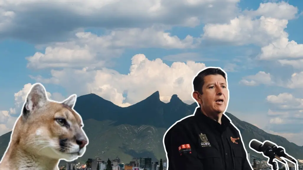 Protección Civil NL activa protocolo por avistamientos de fauna silvestre en Monterrey