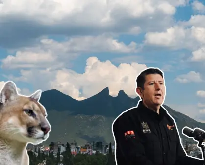 Protección Civil NL activa protocolo por avistamientos de fauna silvestre en Monterrey