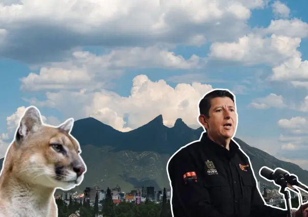 Protección Civil NL activa protocolo por avistamientos de fauna silvestre en Monterrey