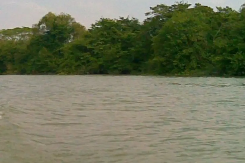 El río Tamesí recorre prácticamente todo el sur de Tamaulipas hasta unirse al río Pánuco. Foto: Carlos García