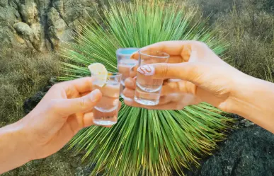 ¿Cuánto alcohol tiene el sotol de Durango, tradicional bebida del semidesierto?