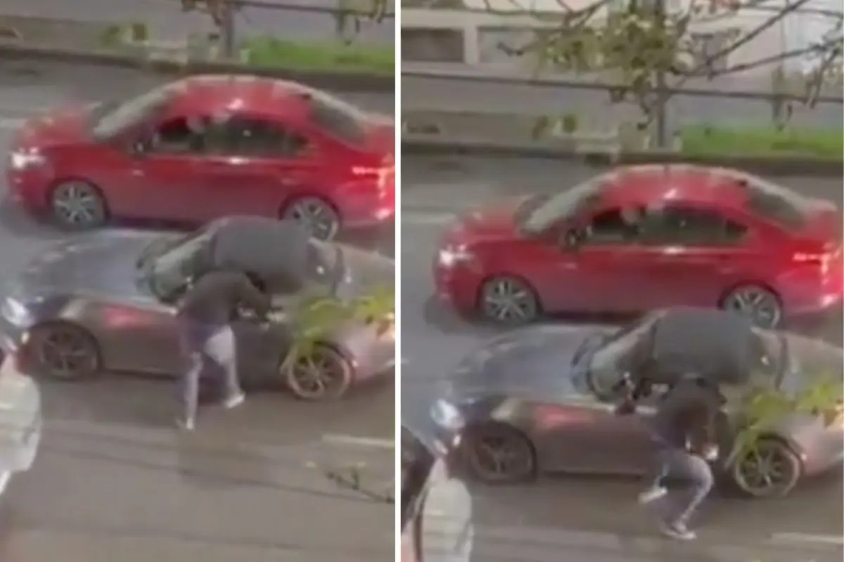 Asalto en avenida Bucareli en CDMX. Foto: captura X (@LaColoniaJuarez) | Canva