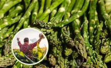 Día del Agricultor: ¿adivinas cuáles son los principales cultivos en BCS?