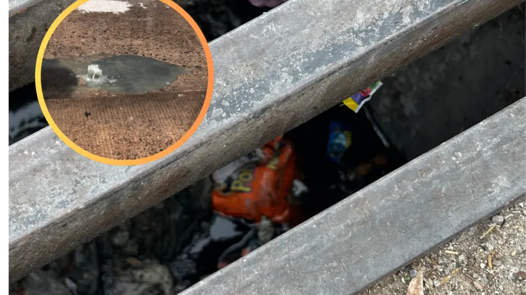 El drenaje de Durango y la impresionante cantidad de basura que viaja a diario por sus tuberías