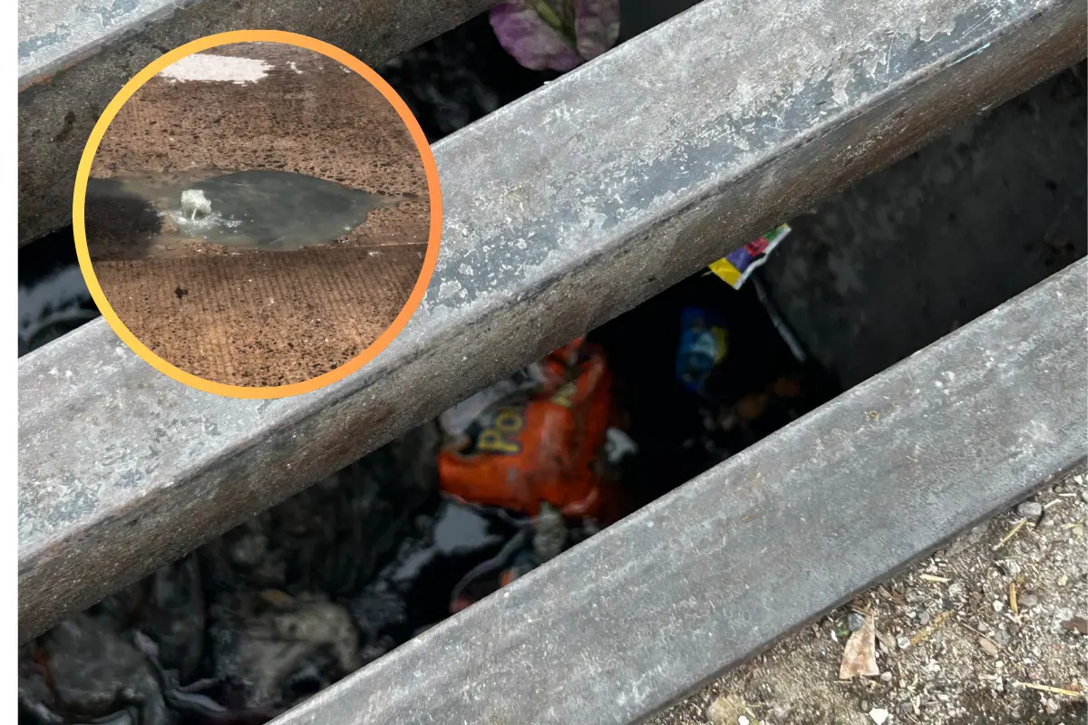 Ciudadanía tira basura en las alcantarillas y eso hace que se tapen en temporada de lluvia. Foto: Alejandro Ávila.
