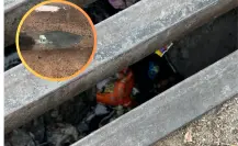 El drenaje de Durango y la impresionante cantidad de basura que viaja a diario por sus tuberías