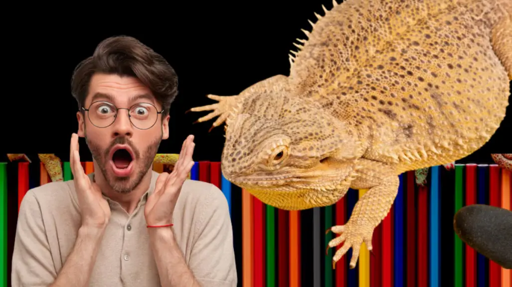 El animal nativo de Tamaulipas que cambia de color, según su estado de animo