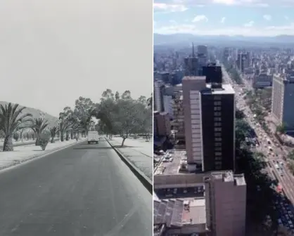 De norte al sur de CDMX, esta es la historia de la Avenida Insurgentes