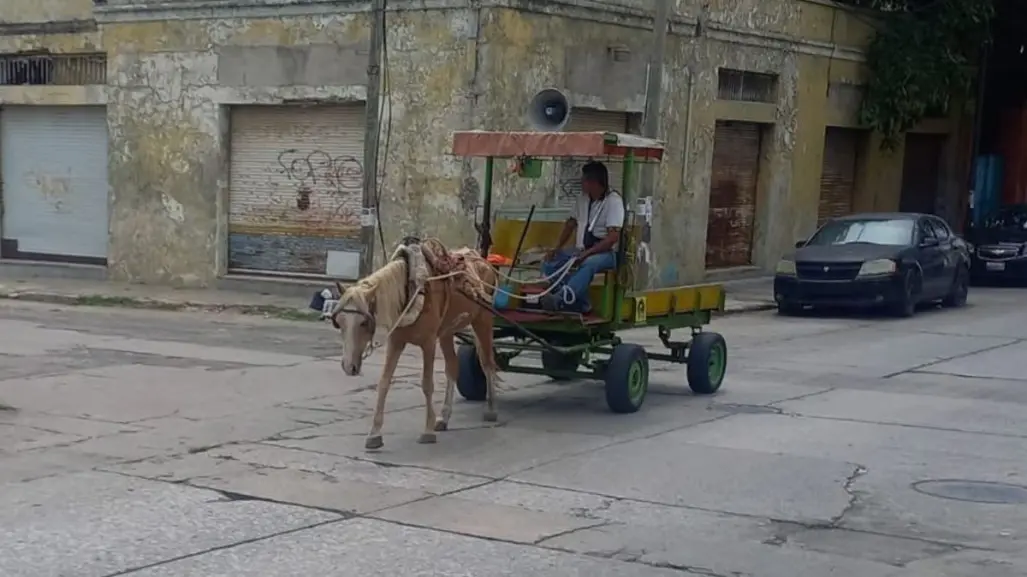 Carretoneros de Tamaulipas avanzan hacia la transición a vehículos motorizados