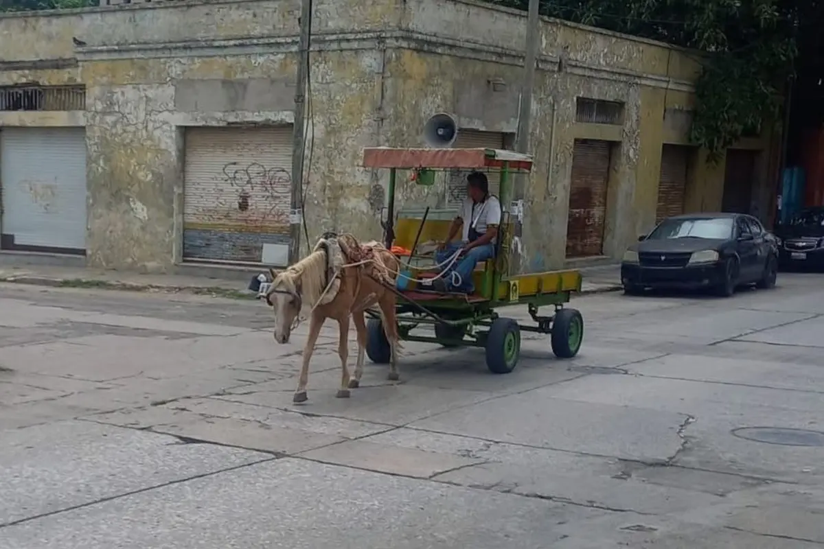 Los carretoneros tienen prohibido utilizar vehículos de tracción animal. Foto: Axel Hassel