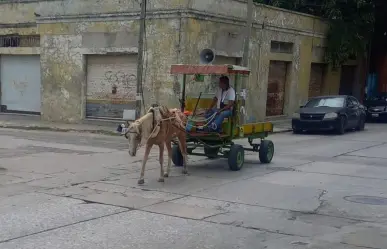 Carretoneros de Tamaulipas avanzan hacia la transición a vehículos motorizados 