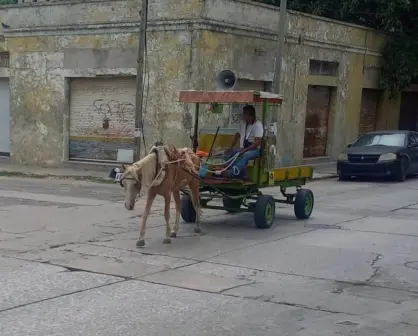 Carretoneros de Tamaulipas avanzan hacia la transición a vehículos motorizados 