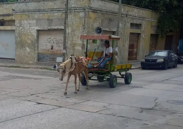Carretoneros de Tamaulipas avanzan hacia la transición a vehículos motorizados 