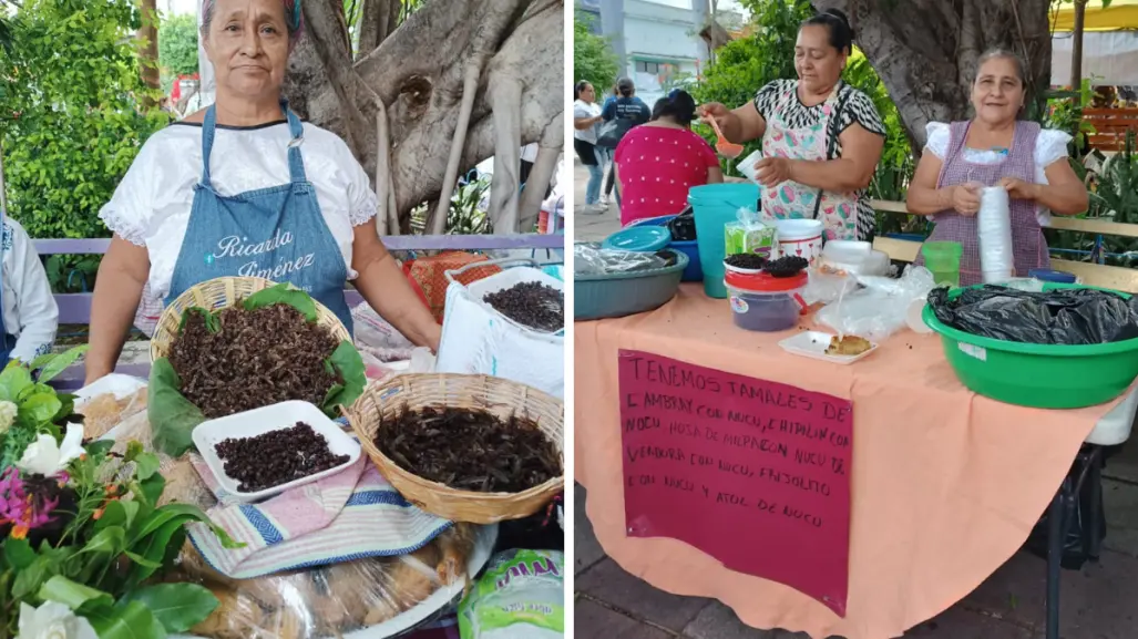 Nucú, el alimento a base de hormigas que es un lujo en Chiapas