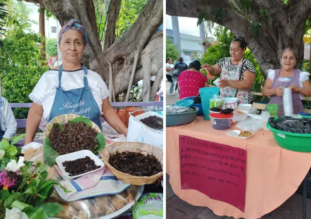 Nucú, el alimento a base de hormigas que es un lujo en Chiapas
