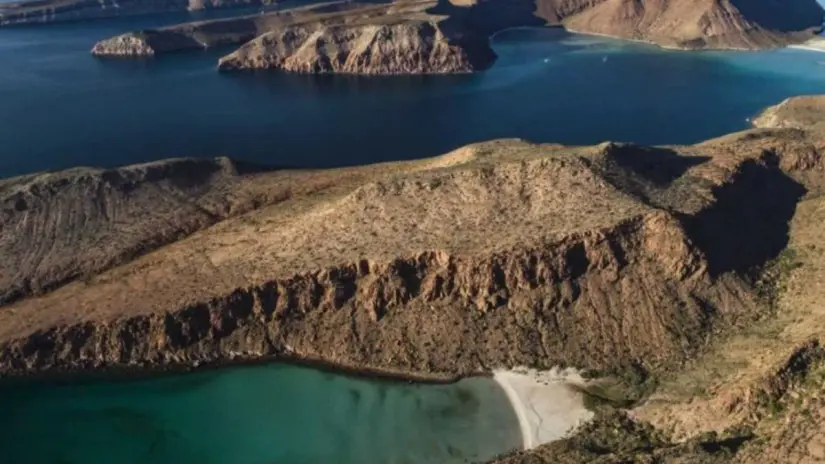 Espíritu Santo es el único lugar del mundo donde habita esta subespecie del babisuri. Foto: Go La Paz