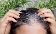 Dile adiós a las canas y embellece tu cabello con este remedio casero de 3 ingredientes