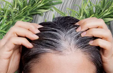Dile adiós a las canas y embellece tu cabello con este remedio casero de 3 ingredientes