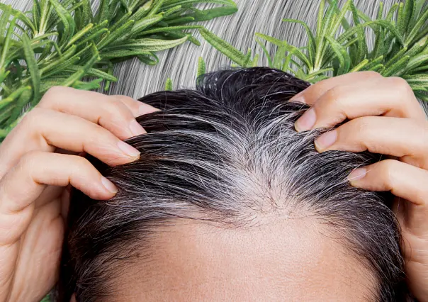 Dile adiós a las canas y embellece tu cabello con este remedio casero de 3 ingredientes