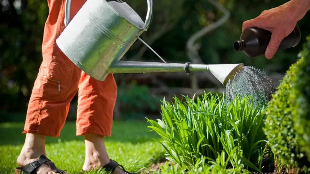 Embellece tu jardín con este trucazo facilísimo
