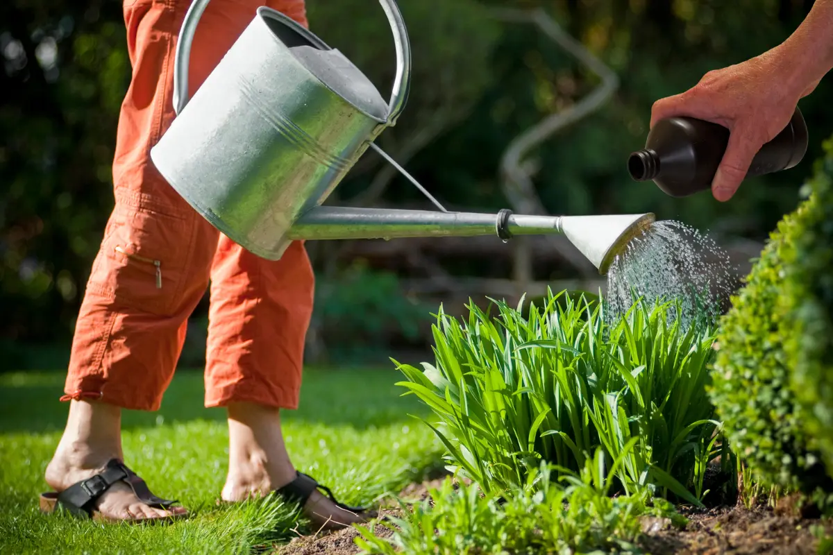 El agua oxigenada ha ganado terreno como remedio casero para embellecer el césped del jardín. Foto: Canva