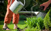 Embellece tu jardín con este trucazo facilísimo
