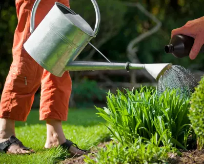 Embellece tu jardín con este trucazo facilísimo