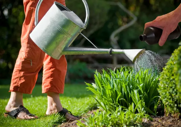 Embellece tu jardín con este trucazo facilísimo