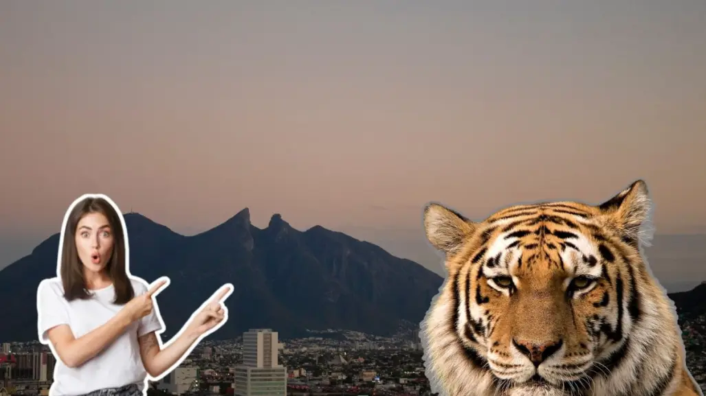 Estos son algunos acontecimientos que han ocurrido anteriormente por avistamientos de animales exóticos en Nuevo León