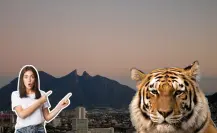 Estos son algunos acontecimientos que han ocurrido anteriormente por avistamientos de animales exóticos en Nuevo León