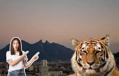 Estos son algunos acontecimientos que han ocurrido anteriormente por avistamientos de animales exóticos en Nuevo León