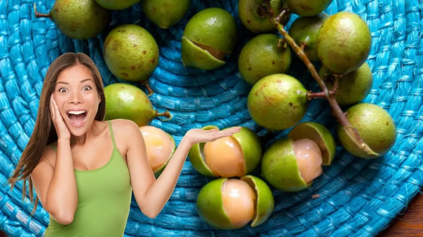 ¿Por qué se le dice “milagrosa” a la guaya?. Foto: Canva / Freepick