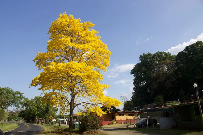 Foto: Noticiasncc.com
